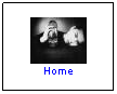 Text Box: Home
